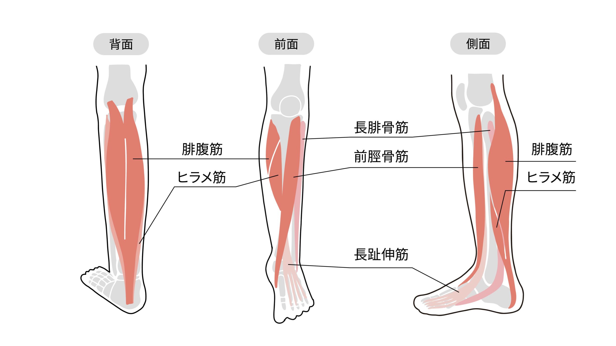 足 が つる 病気 前兆
