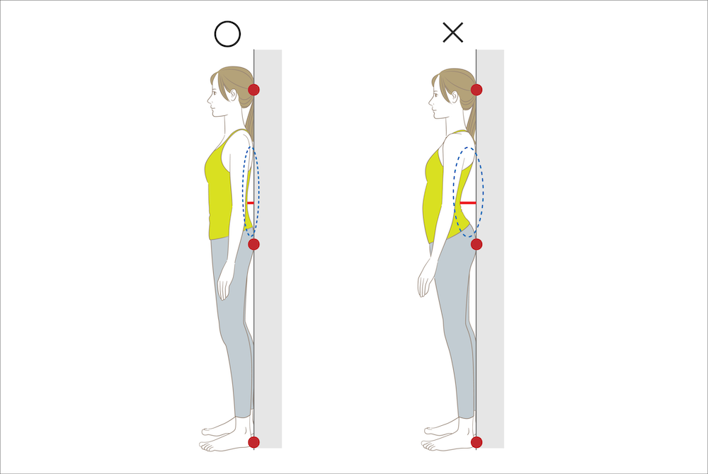 姿勢分析 Posture Evaluation アライメントチェックスクリーン